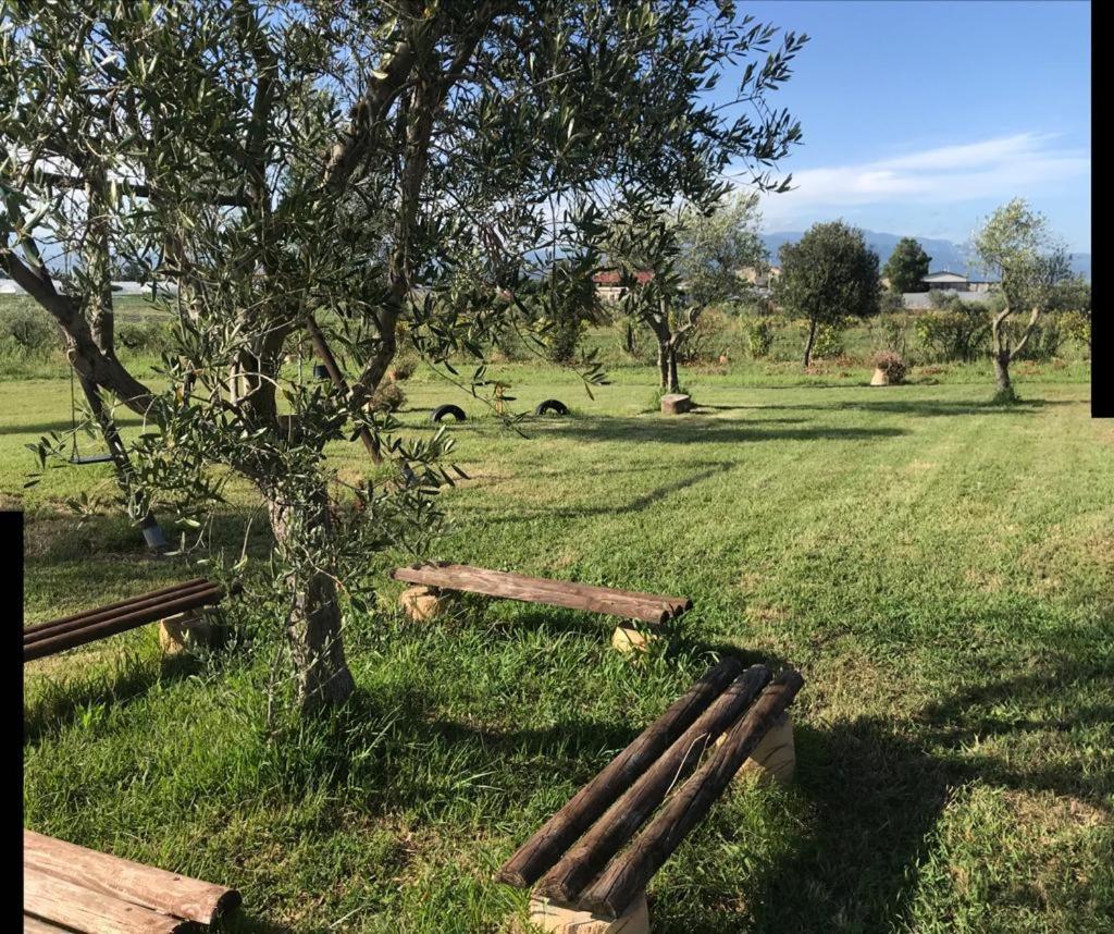 Agriturismo Il Borghetto Villa Foce del Sele Kültér fotó